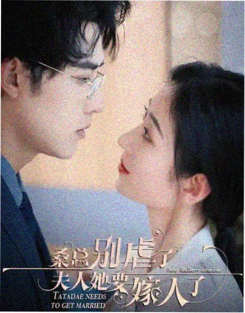 丁香花电视剧演员阵容 主创访谈